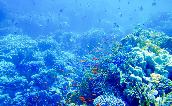 海洋開發的重要性及意義 海洋開發的重要性及意義