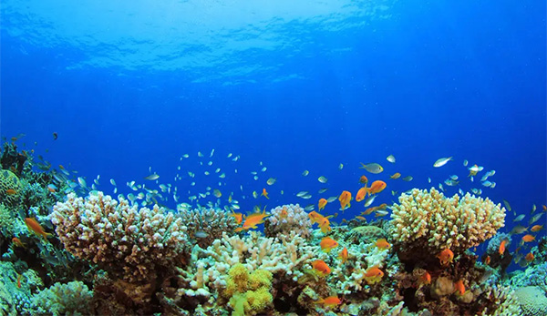 海洋開發的重要性及意義 海洋開發的重要性及意義